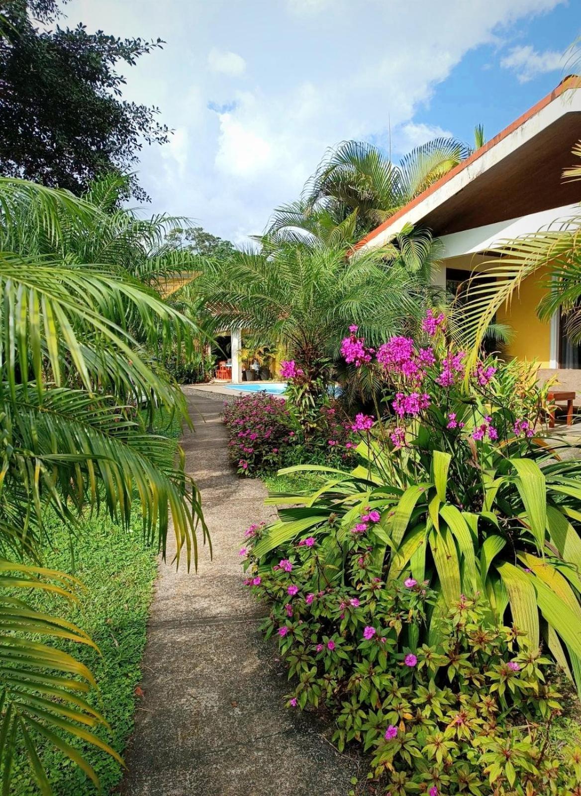 Arenal Villas Tranquilas, Free-Standing Equipped Houses Нуево-Аренал Екстер'єр фото