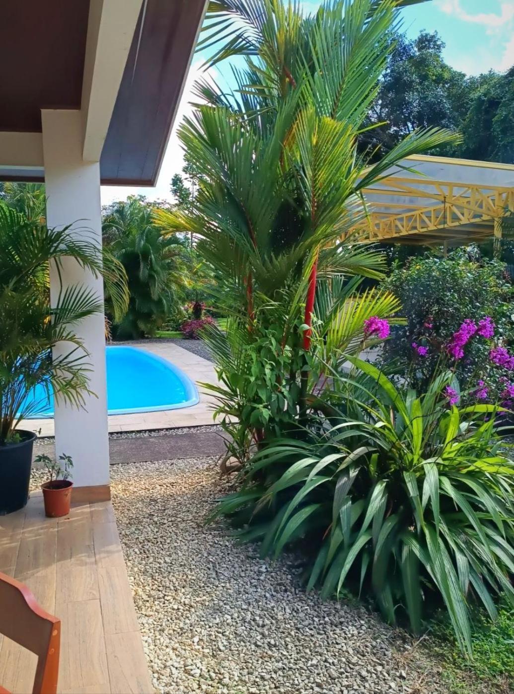 Arenal Villas Tranquilas, Free-Standing Equipped Houses Нуево-Аренал Екстер'єр фото